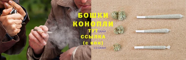 крисы Гусь-Хрустальный