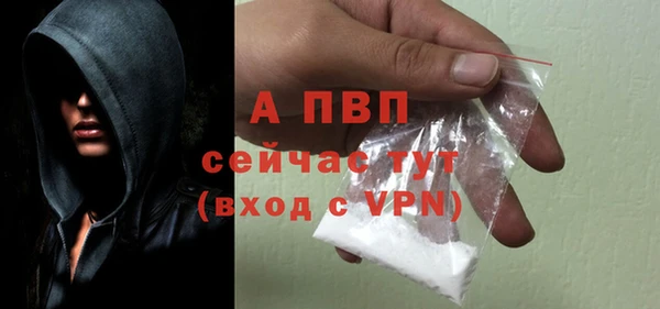 винт Гусиноозёрск