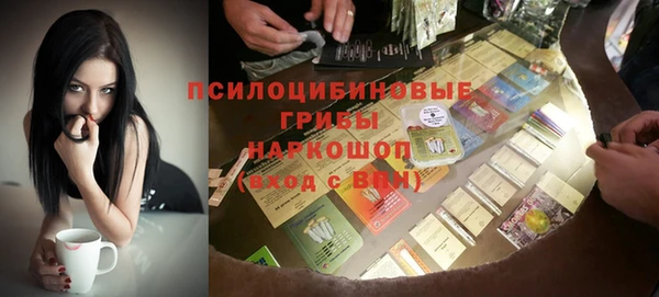 крисы Гусь-Хрустальный